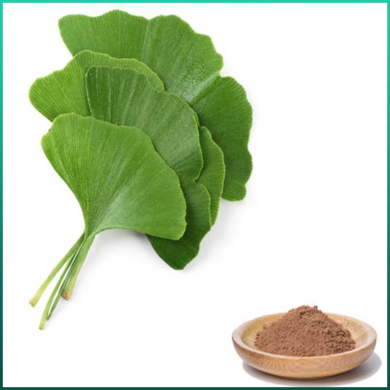 Ginkgo Biloba-extract